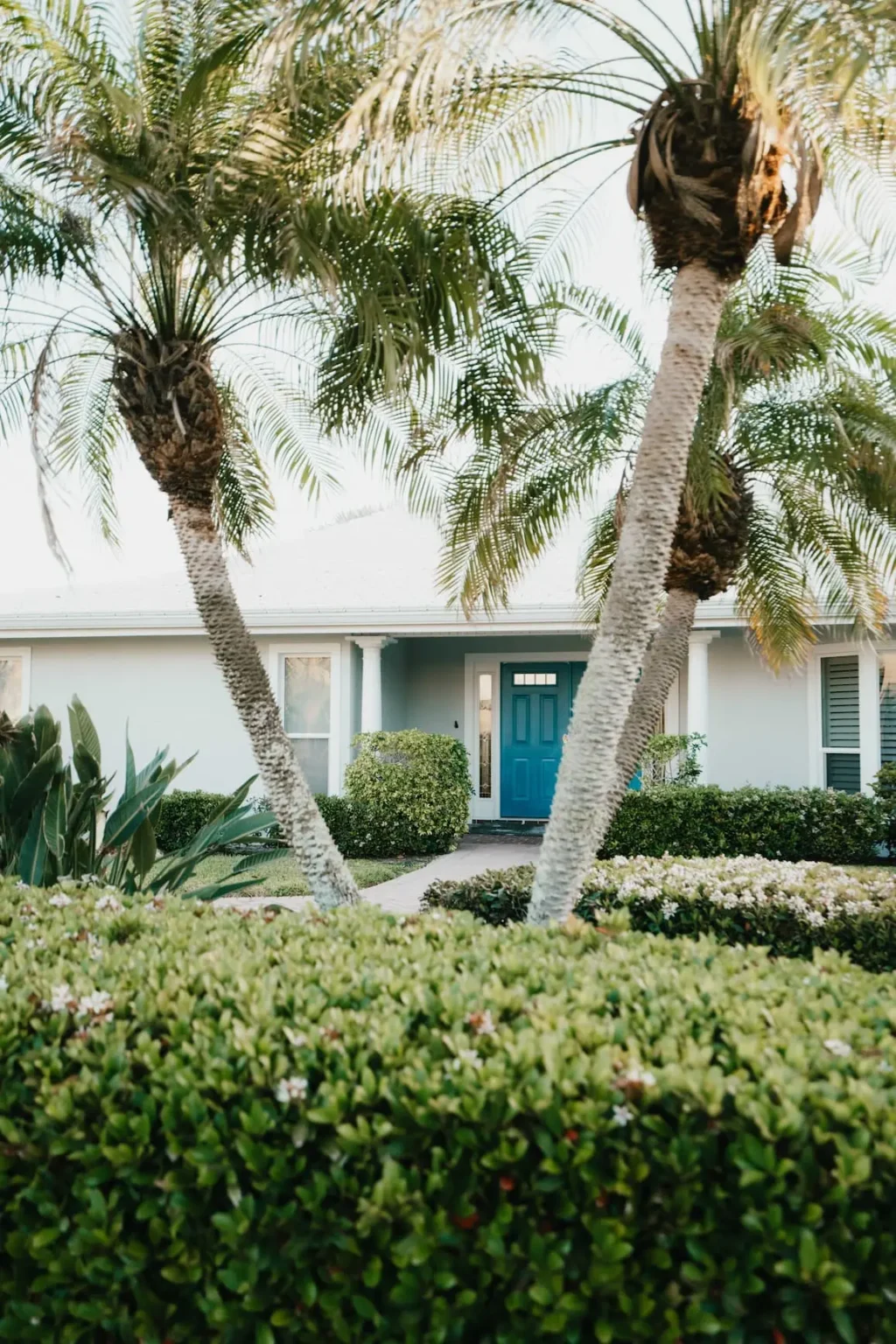 Professional painters in Sarasota FL completing a high-quality painting project.